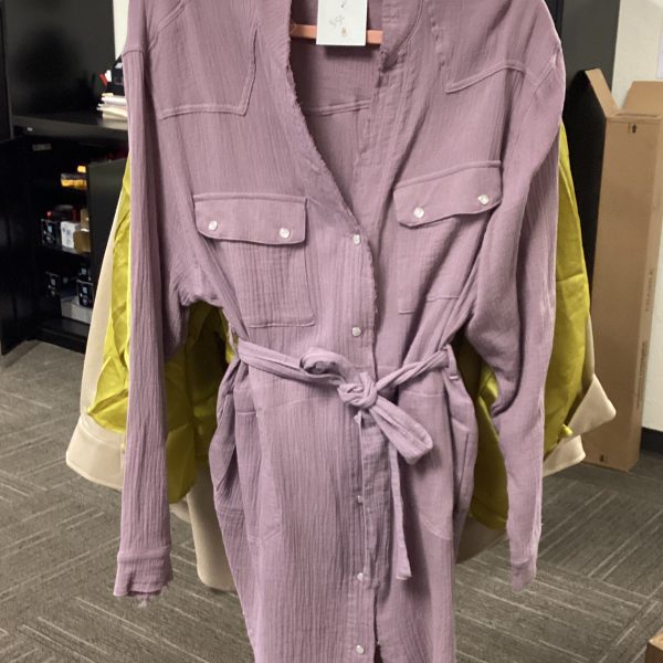 Purple Shirt Dress